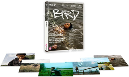 Bird |   Blu-Ray